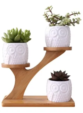 3 Pcs Cute Owl Indoor Flower Pots for Home Interior Design with Bamboo Saucers Stand Holder (Owl Pot with Stand)(Plants NOT Included)