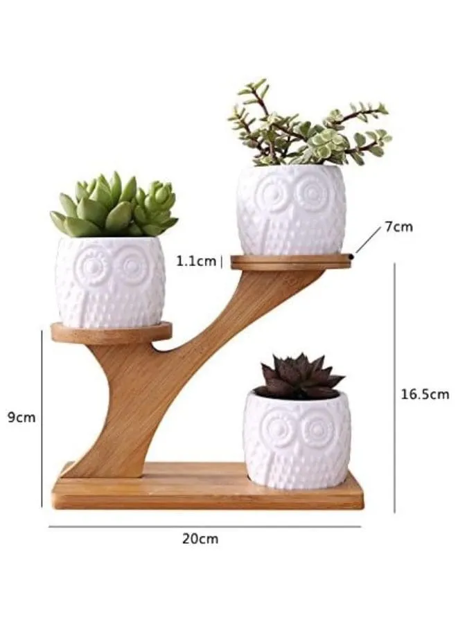 3 Pcs Cute Owl Indoor Flower Pots for Home Interior Design with Bamboo Saucers Stand Holder (Owl Pot with Stand)(Plants NOT Included)