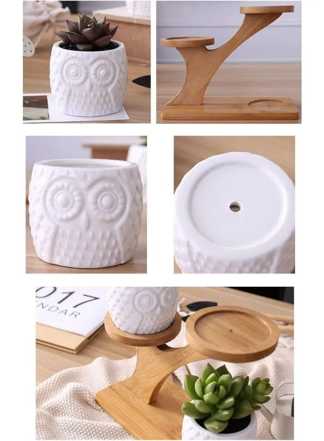 3 Pcs Cute Owl Indoor Flower Pots for Home Interior Design with Bamboo Saucers Stand Holder (Owl Pot with Stand)(Plants NOT Included)