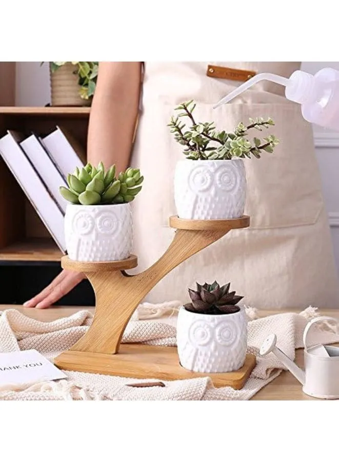 3 Pcs Cute Owl Indoor Flower Pots for Home Interior Design with Bamboo Saucers Stand Holder (Owl Pot with Stand)(Plants NOT Included)
