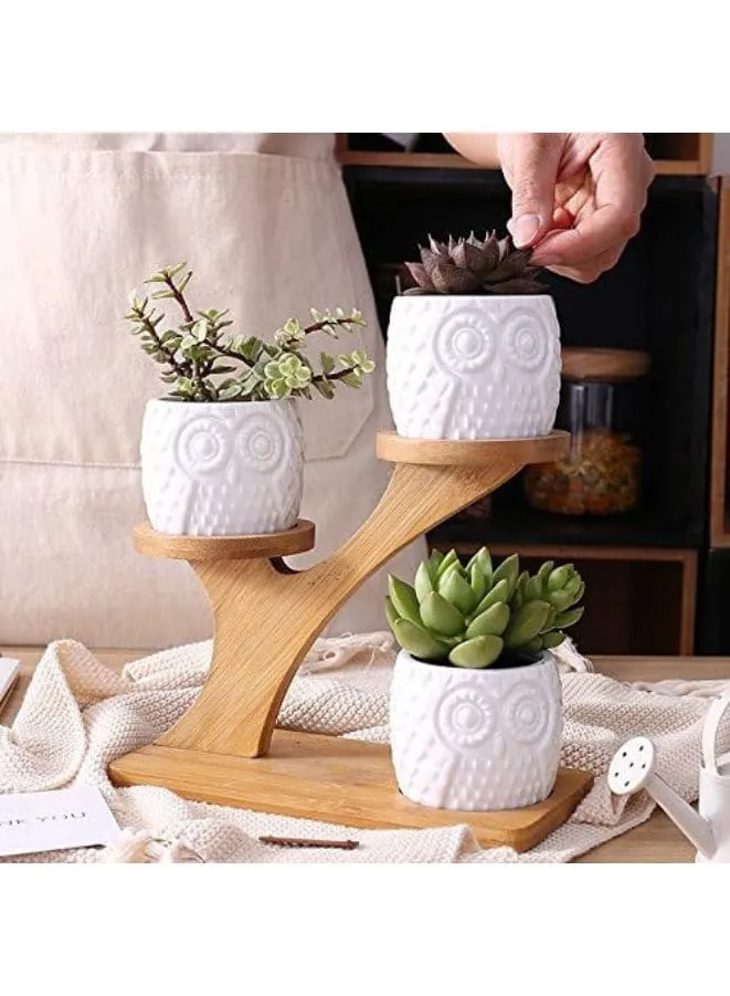 3 Pcs Cute Owl Indoor Flower Pots for Home Interior Design with Bamboo Saucers Stand Holder (Owl Pot with Stand)(Plants NOT Included)