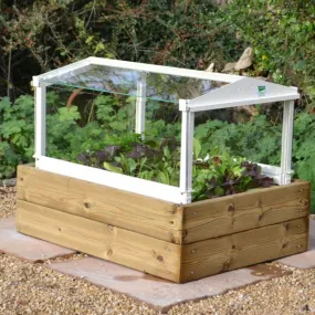 Access Herb and Salad Cloche