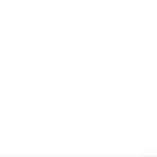 Chat Board Squad
