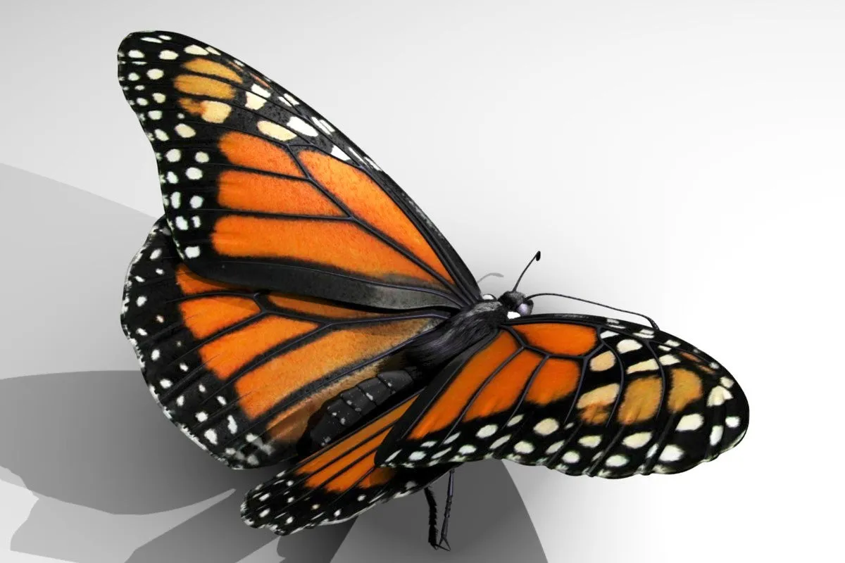 DT30 Square Butterfly Texture for Tile Mold for Glass Slumping