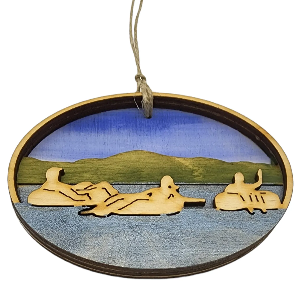 Floating on the Lake/River Ornament