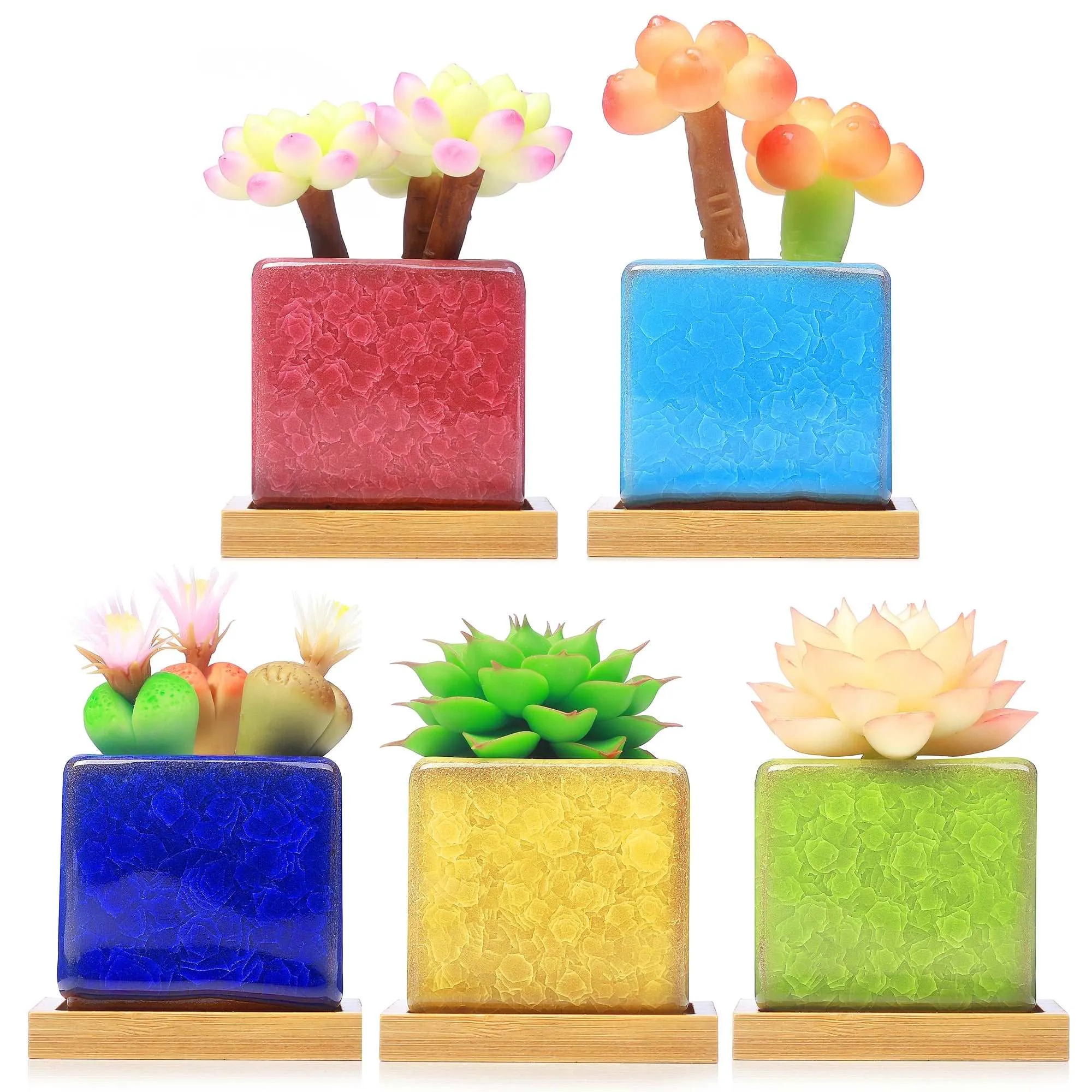 LAMDAWN Cute Ceramic Succulent Garden Pots, Planter with Drainage and Attached Saucer, Set of 5 -Plants Not Included (Cracks square-shaped)