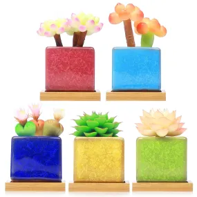 LAMDAWN Cute Ceramic Succulent Garden Pots, Planter with Drainage and Attached Saucer, Set of 5 -Plants Not Included (Cracks square-shaped)