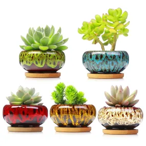 LAMDAWN Cute Ceramic Succulent Garden Pots, Planter with Drainage and Attached Saucer, Set of 5 -Plants Not Included (Vivid Colors)