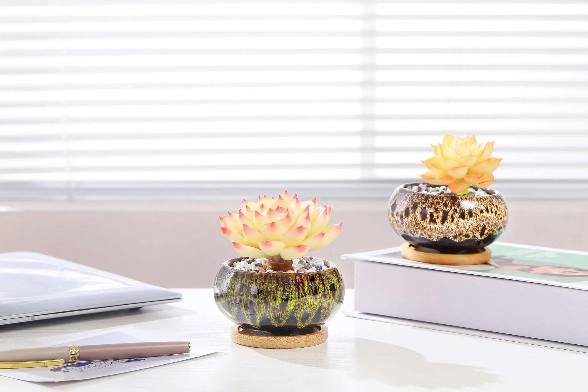 LAMDAWN Cute Ceramic Succulent Garden Pots, Planter with Drainage and Attached Saucer, Set of 5 -Plants Not Included (Vivid Colors)