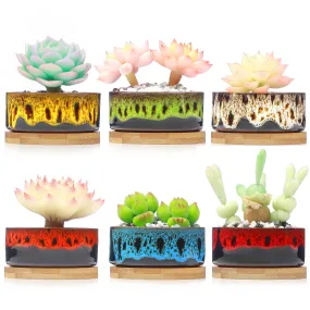 LAMDAWN Cute Ceramic Succulent Garden Pots, Planter with Drainage and Attached Saucer, Set of 5 -Plants Not Included (Vivid Round Colors)