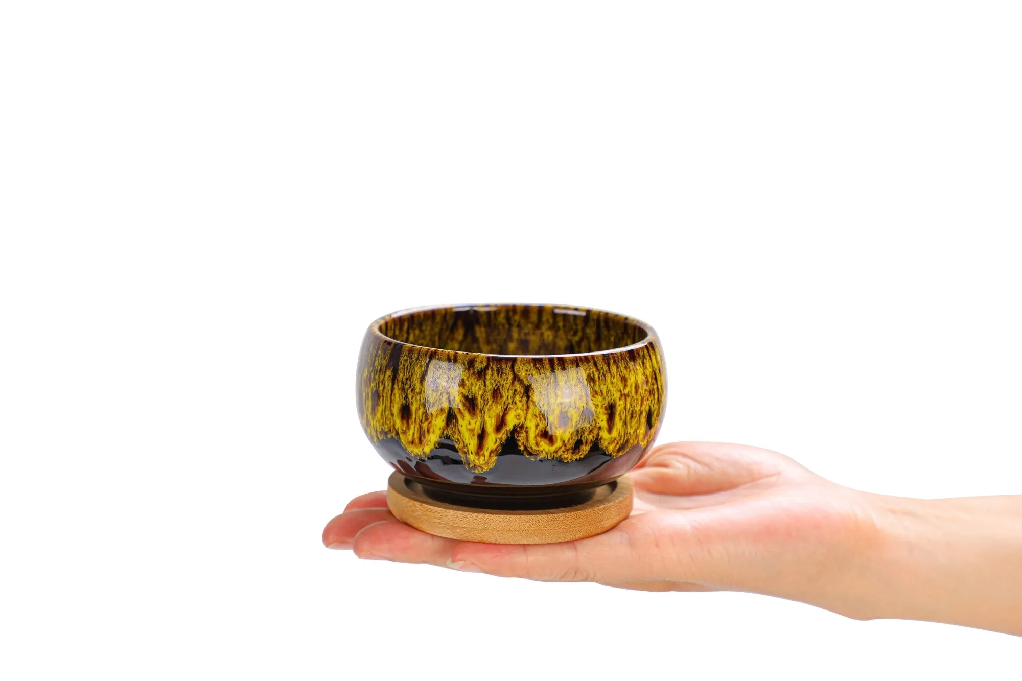 LAMDAWN Cute Ceramic Succulent Garden Pots, Planter with Drainage and Attached Saucer, Set of 5 -Plants Not Included