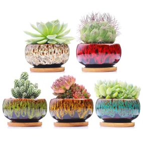 LAMDAWN Cute Ceramic Succulent Garden Pots, Planter with Drainage and Attached Saucer, Set of 5 -Plants Not Included