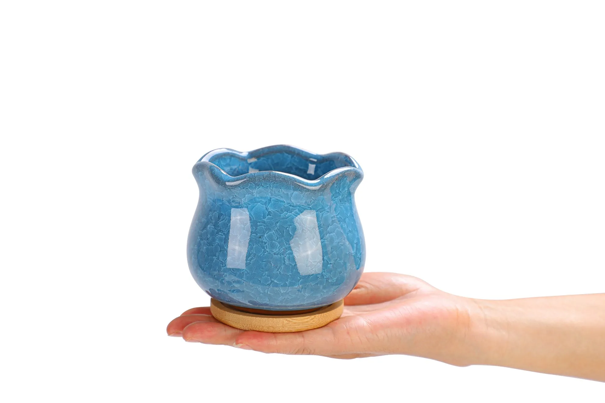 LAMDAWN Cute Ceramic Succulent Garden Pots, Planter with Drainage and Attached Saucer, Set of 6 -Plants Not Included (Ice Cracks)