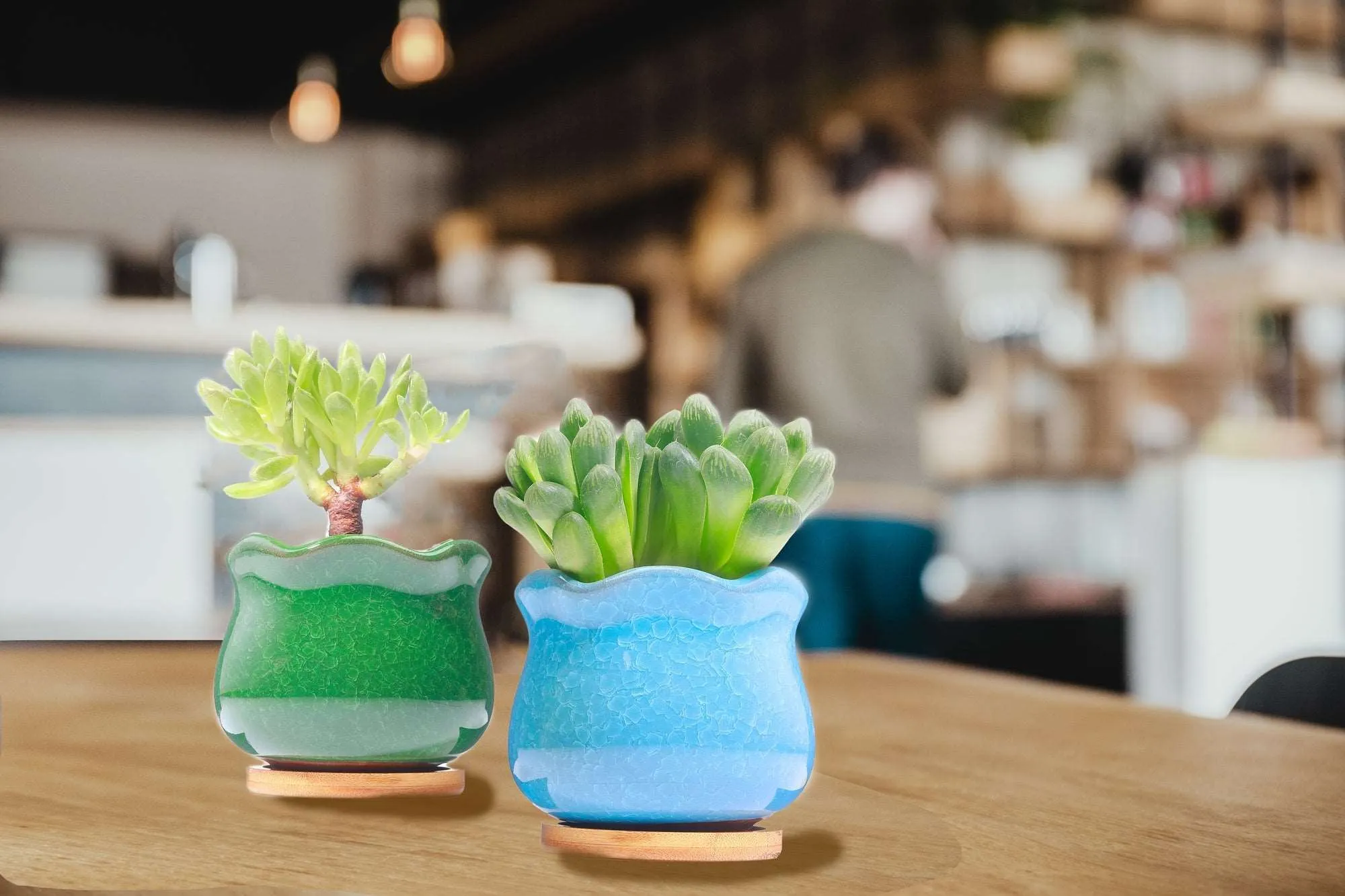 LAMDAWN Cute Ceramic Succulent Garden Pots, Planter with Drainage and Attached Saucer, Set of 6 -Plants Not Included (Ice Cracks)