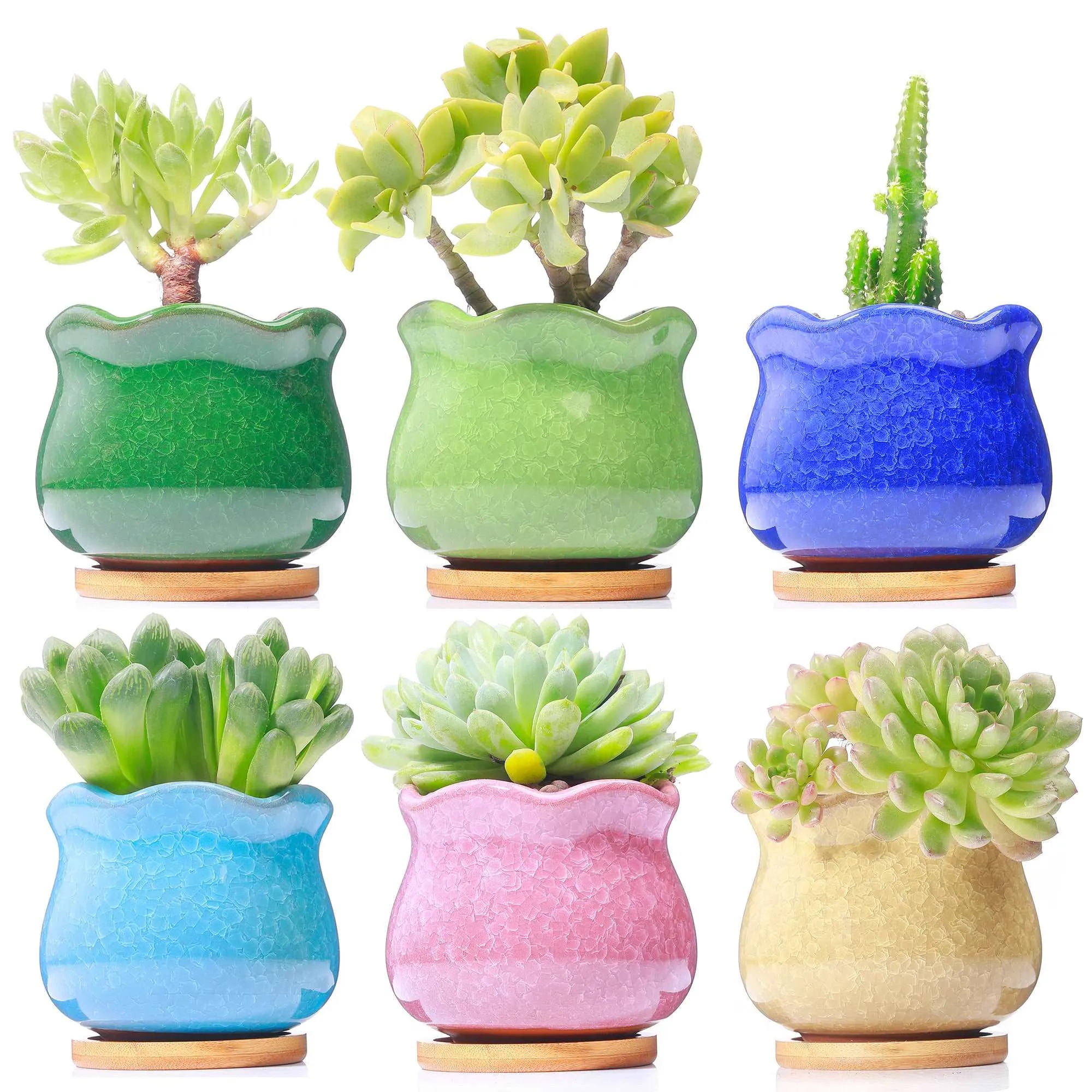 LAMDAWN Cute Ceramic Succulent Garden Pots, Planter with Drainage and Attached Saucer, Set of 6 -Plants Not Included (Ice Cracks)