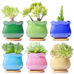 LAMDAWN Cute Ceramic Succulent Garden Pots, Planter with Drainage and Attached Saucer, Set of 6 -Plants Not Included (Ice Cracks)