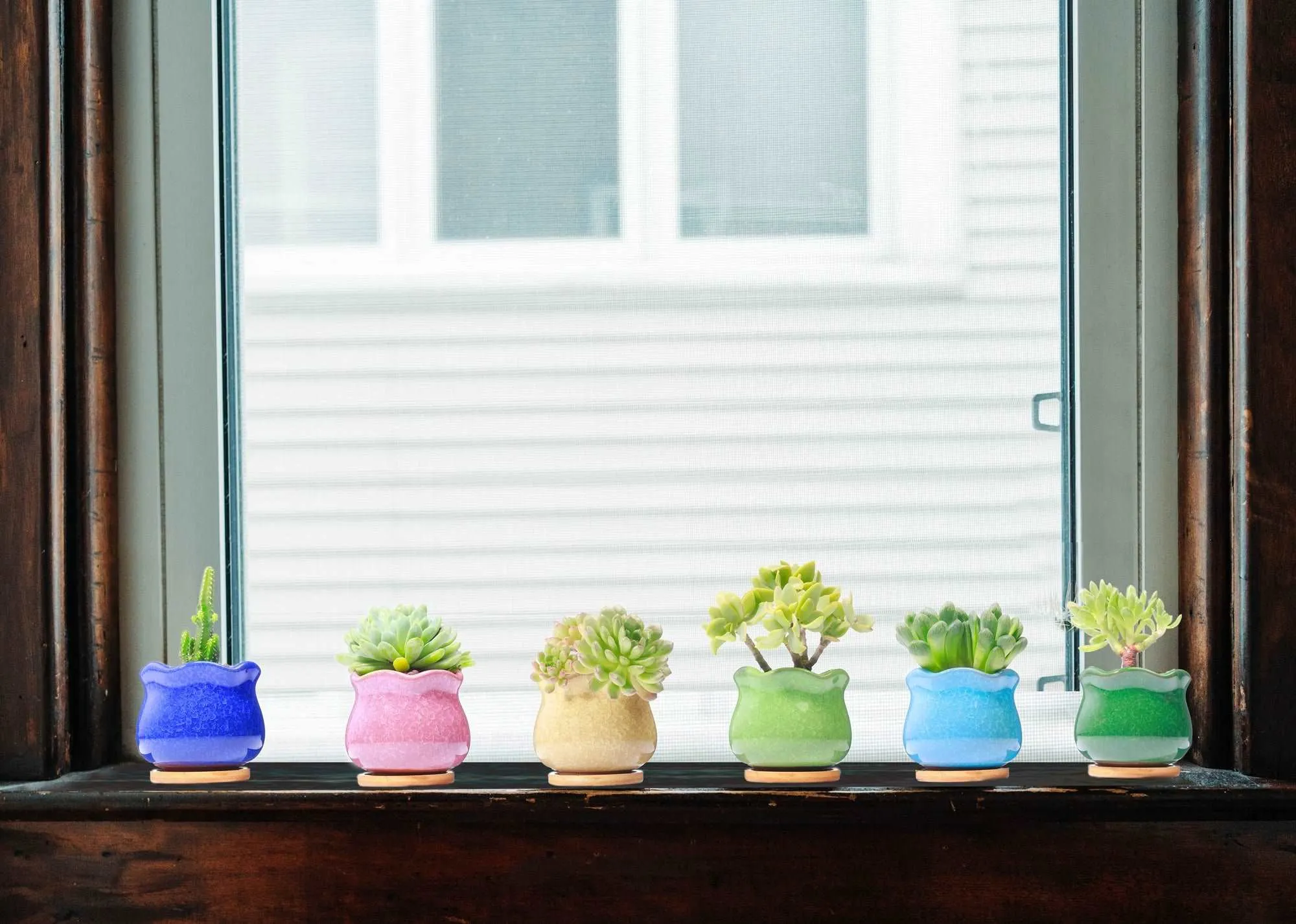 LAMDAWN Cute Ceramic Succulent Garden Pots, Planter with Drainage and Attached Saucer, Set of 6 -Plants Not Included (Ice Cracks)