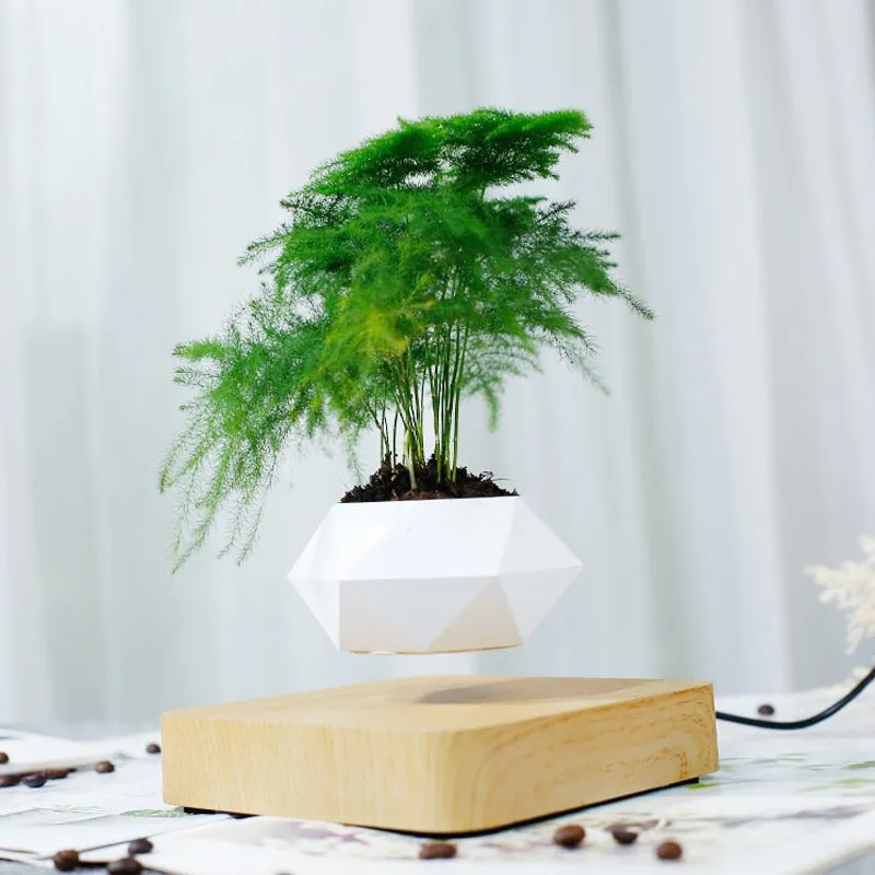 Levitating Rotation Air Pot