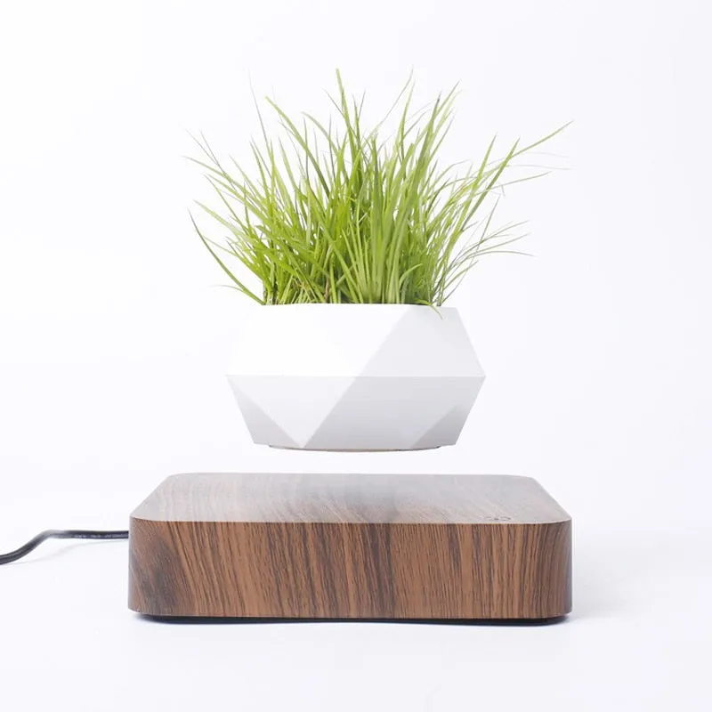 Levitating Rotation Air Pot