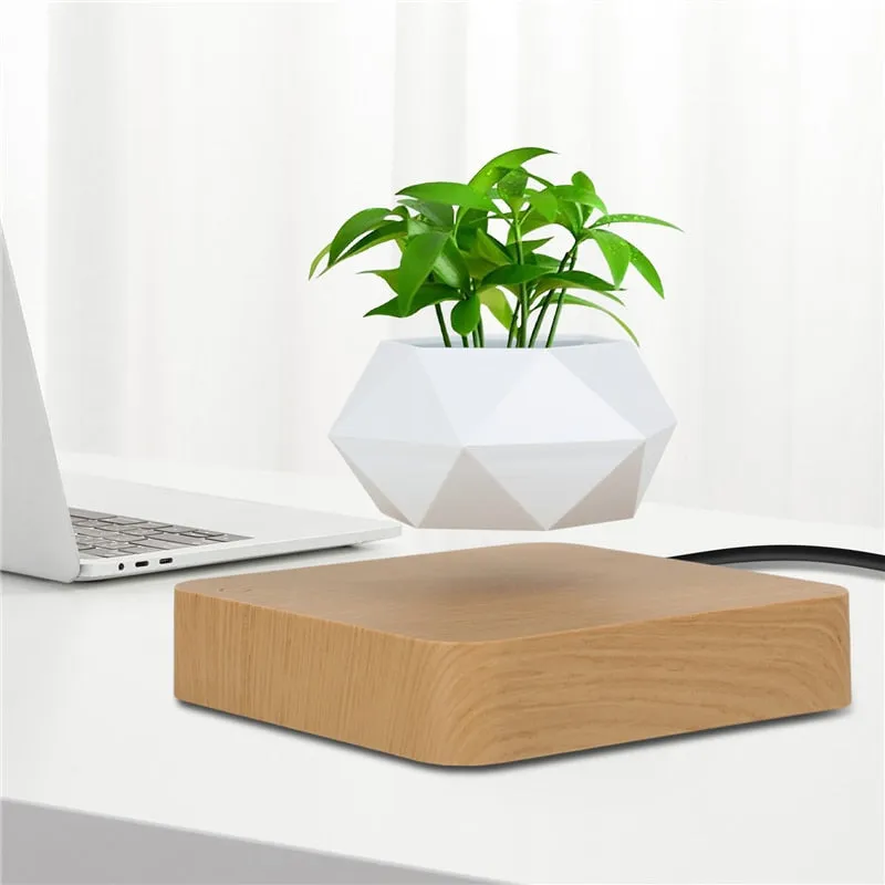 Levitating Rotation Air Pot
