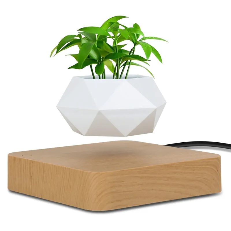 Levitating Rotation Air Pot