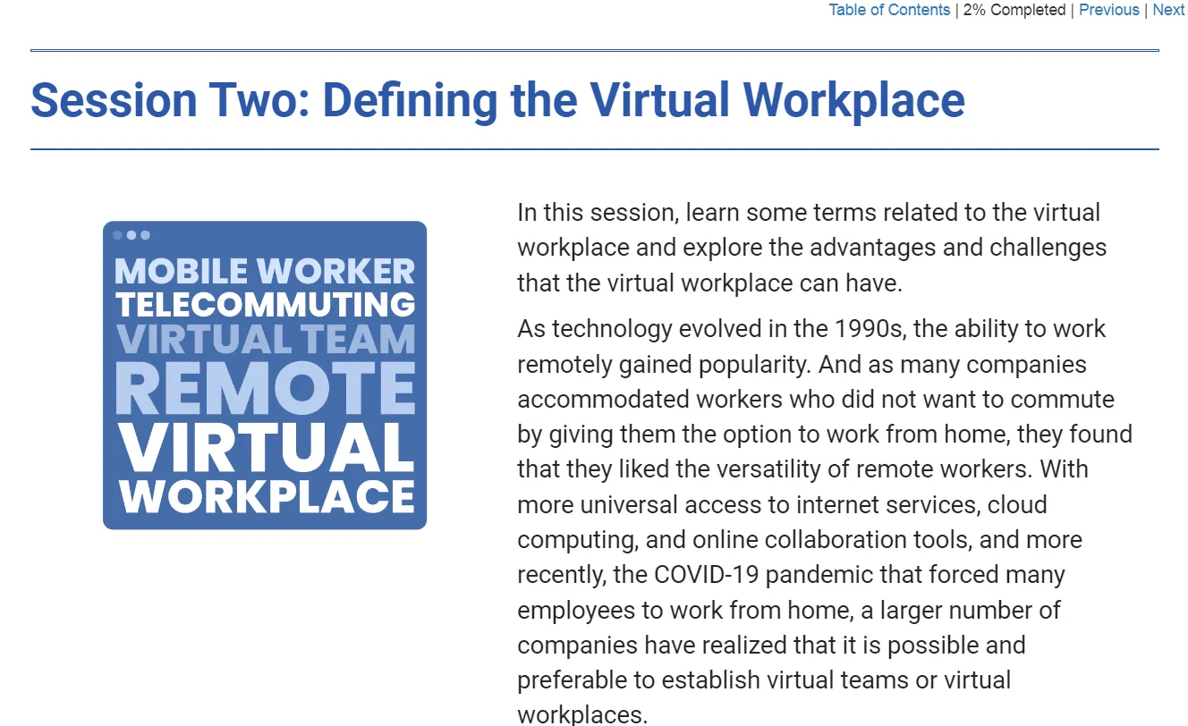 Managing the Virtual Workplace