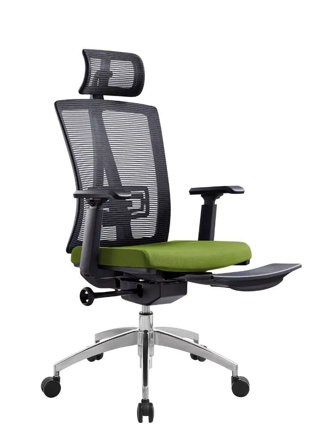 Modern Ergonomic Office Chair with Adjustable Headrest, Armrest and Footrest for Office Executives and Managers