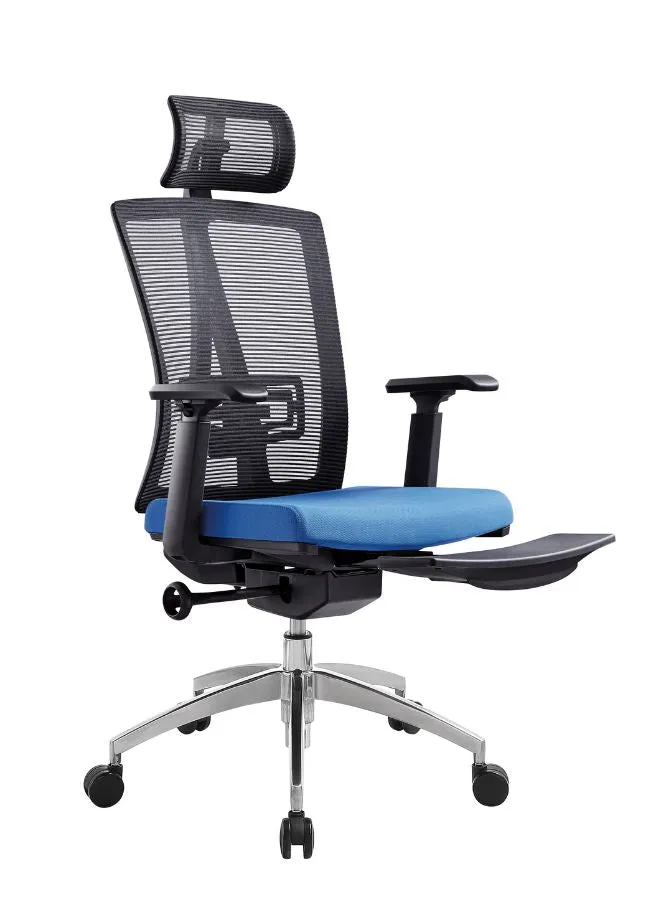 Modern Ergonomic Office Chair with Adjustable Headrest, Armrest and Footrest for Office Executives and Managers