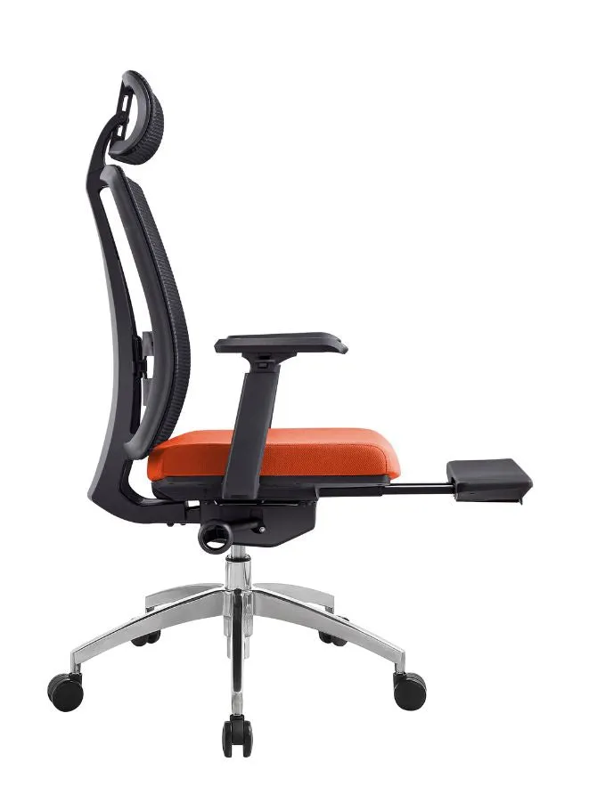 Modern Ergonomic Office Chair with Adjustable Headrest, Armrest and Footrest for Office Executives and Managers