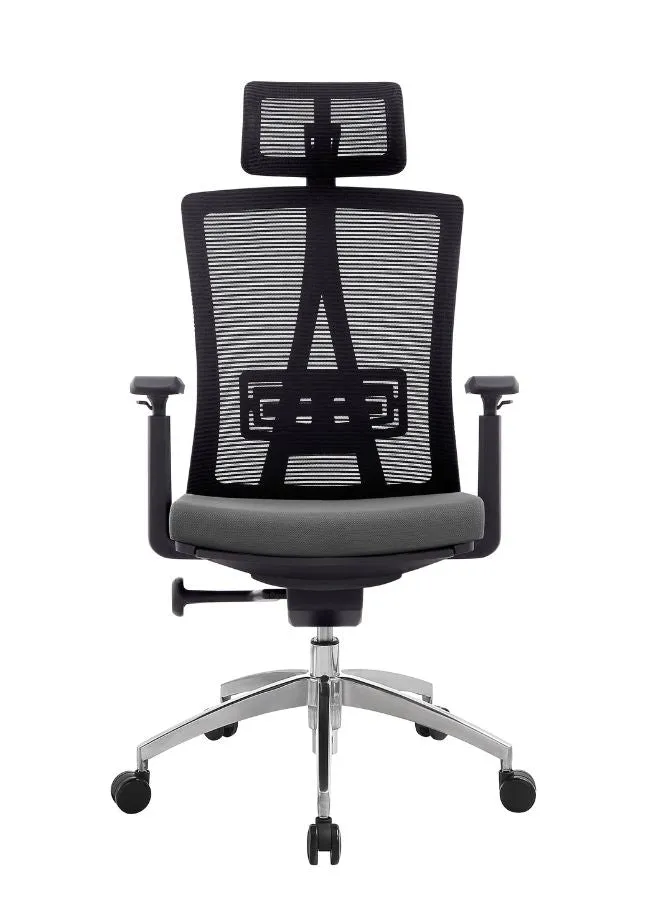 Modern Ergonomic Office Chair with Adjustable Headrest, Armrest and Footrest for Office Executives and Managers