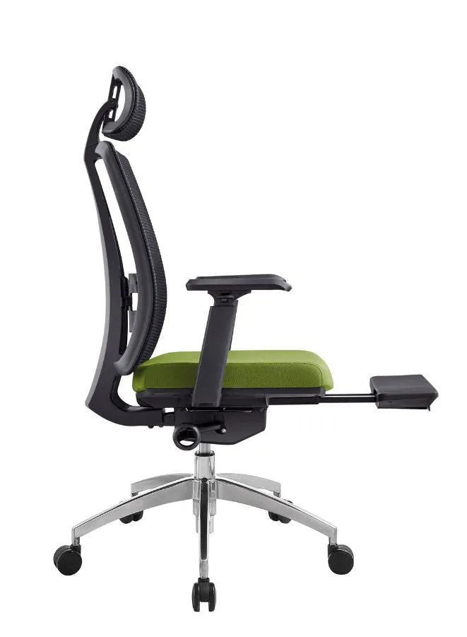 Modern Ergonomic Office Chair with Adjustable Headrest, Armrest and Footrest for Office Executives and Managers