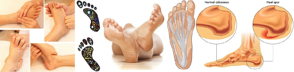 Self-paced Home Study 12 CE Fully Clothed Chair & Advanced Foot Massage