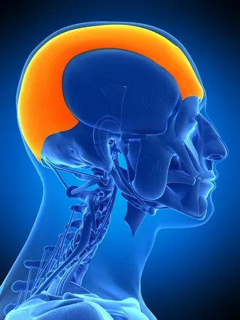 Self-paced Home Study 12 CE Hand & Ear Reflexology with Chair Event Massage