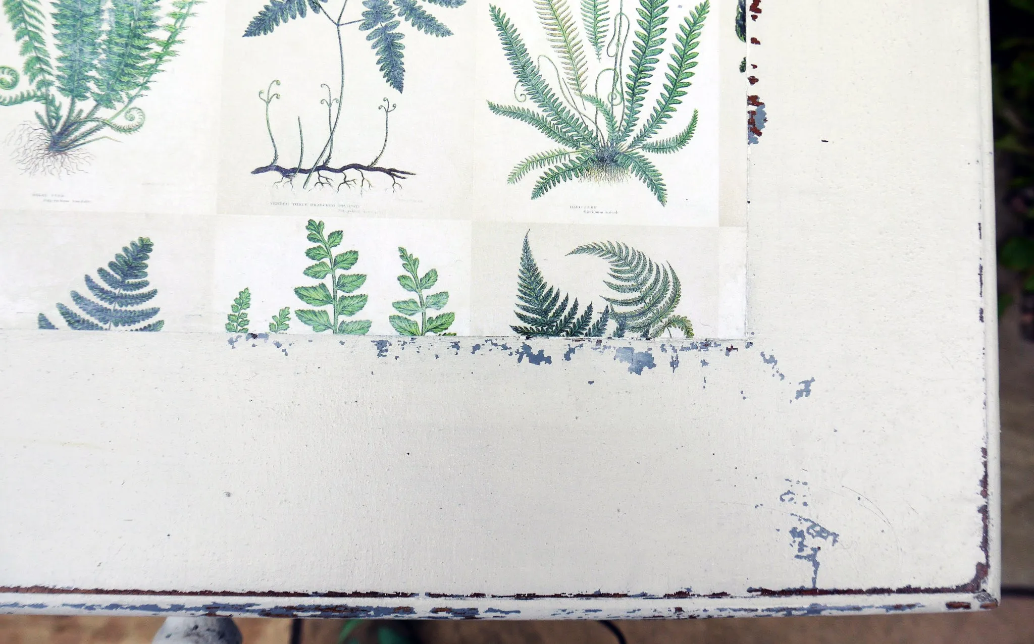 Vintage writing desk painted in chippy miss mustard seed milk paint grain sack grey layered with Bergere and a botanical fern design