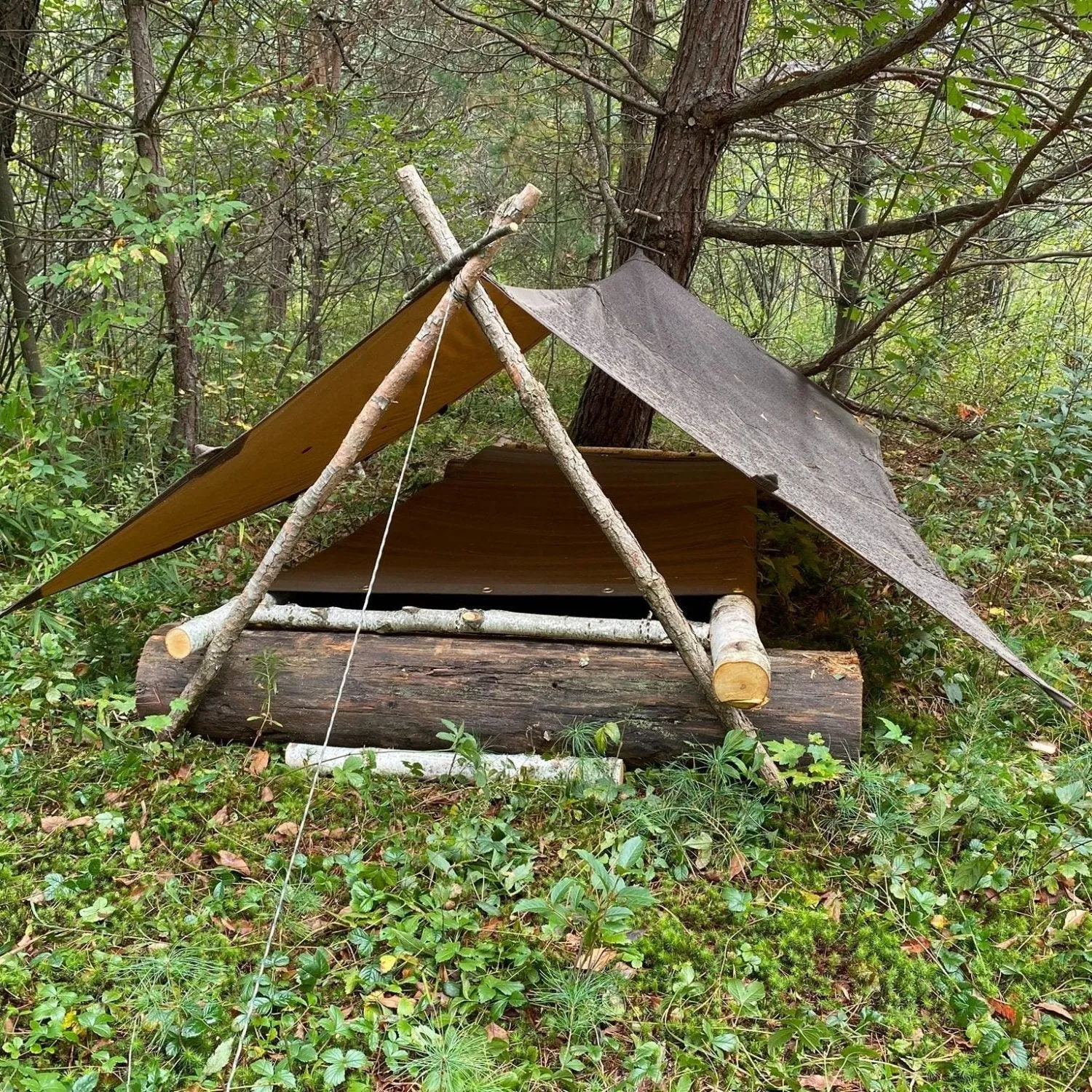 Wilderness Survival Training and Certification Program - Gray Bearded Green Beret Survival School