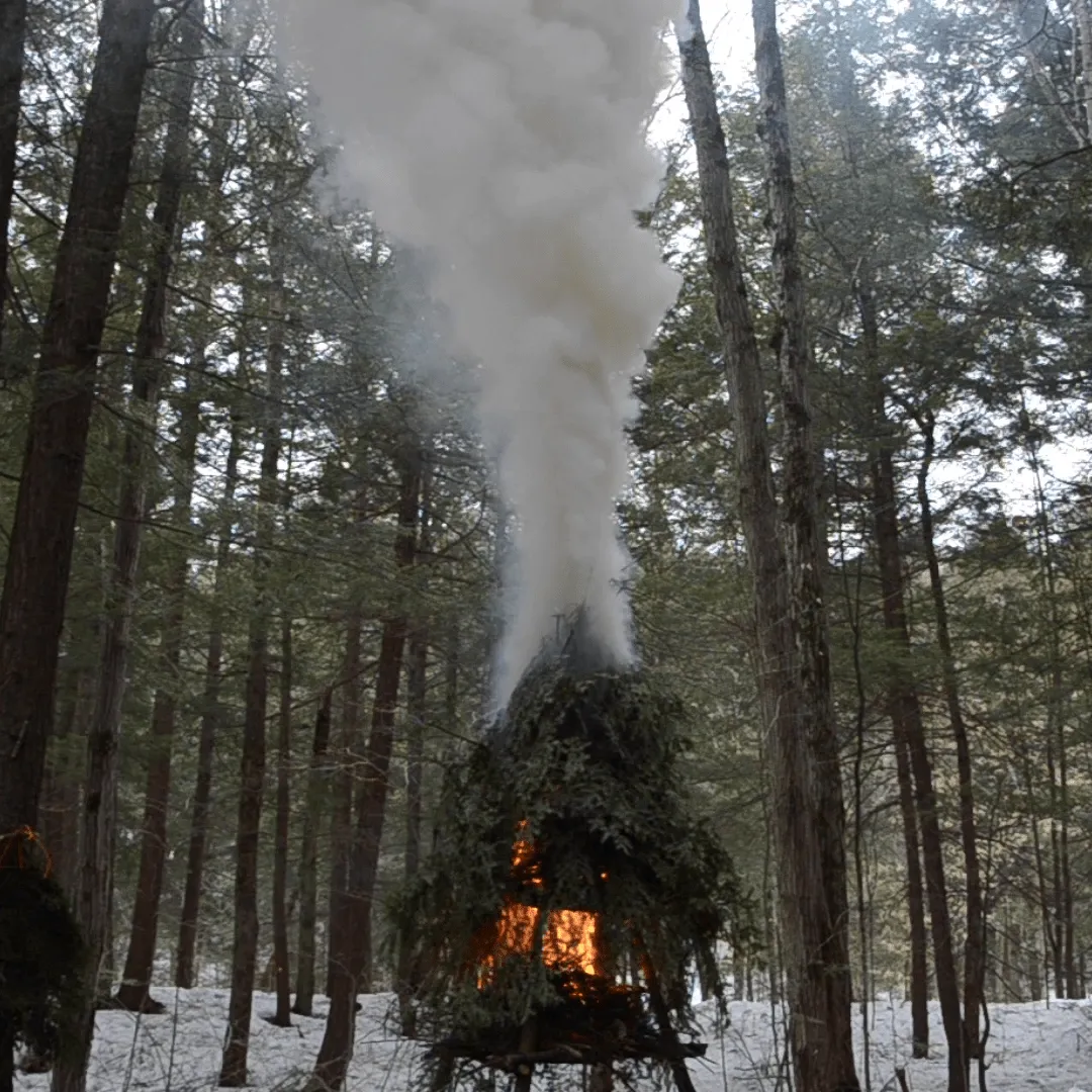 Wilderness Survival Training and Certification Program - Gray Bearded Green Beret Survival School